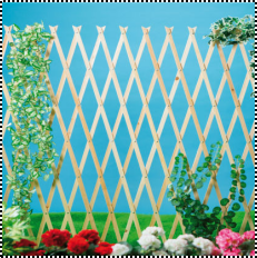 Wooden Folding Fence